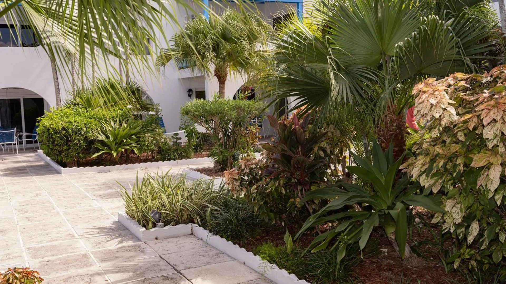 Perfect Island Retreat At Paradise Island Beach Club Villas